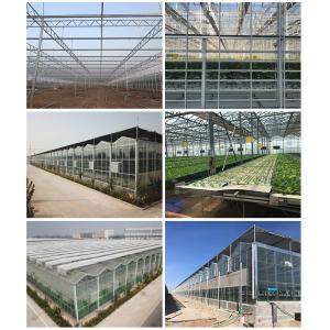 Efficiently Grow Crops Solar Agricultural Greenhouses  All Year Round