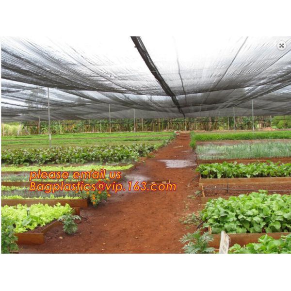 30 mesh anti insect farm nets for greenhouse,100% pe transparent color greenhouse anti insect net for plant, agriculture