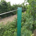 Durable Garden Plant Support Posts C Shaped / U Shaped Heat Treated