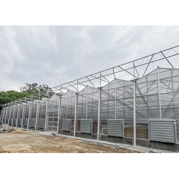 IGreen Polycarbonate Greenhouse Panels for Flowers and Vegetables Customized Length