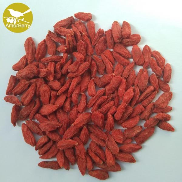 Amorberry Dried Goji Berry Lycium Barbarum Medlar Chinese Tibet wolfberry wholesale with high quantity
