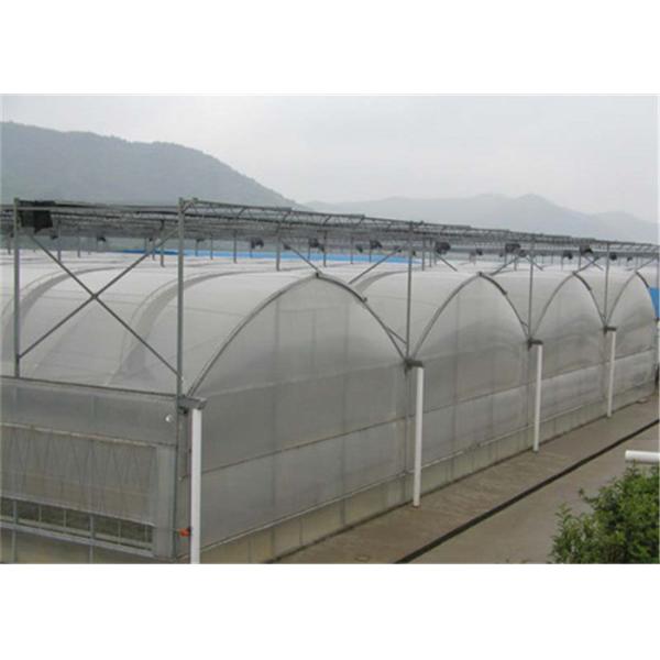 Arch Shape Clear Polycarbonate Greenhouse Polycarbonate Hollow Board Covering Material