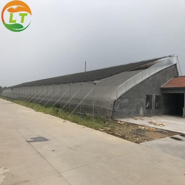 Chinese Style Metal Frame Solar Prefab Tomato Greenhouse for Outdoors and Agriculture