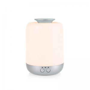  USB Plug In Car Essential Oil Diffuser Mini Portable Waterless Aromatherapy Manufactures