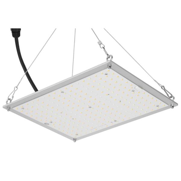 RikoLite 100W 277vac Hydroponics Led Grow Lights Quantum Board 167.3umol/S