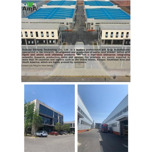 Organic Enzymatic Hydrolysis Amino Acid 80% Powder For Plants Foliar Fertilizer