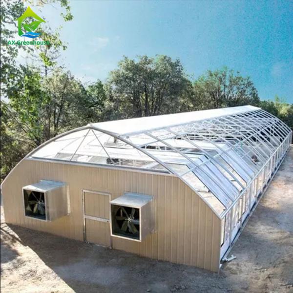 3.2*3 Steeple Auto Blackout Greenhouse Light Dep Caterpillar Tunnel Greenhouse