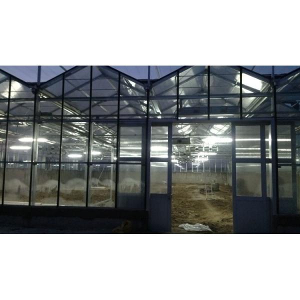 High Strength Agricultural Poly Tunnel Green House/Tomato Greenhouse