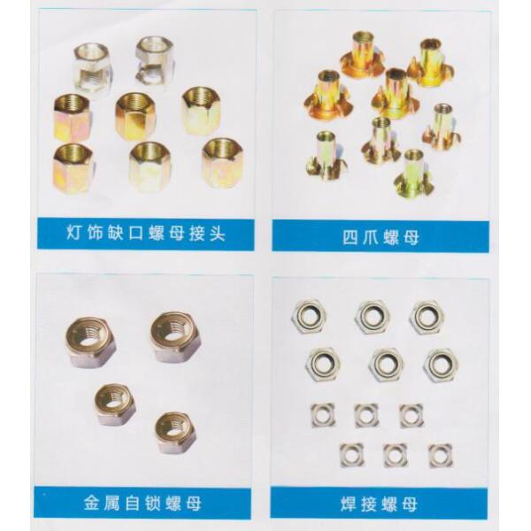 Nut Product Highlights