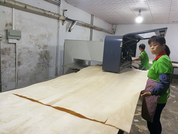Guangdong Great Forest New Decoration Materials Co.,LTD.