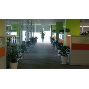 Shenzhen Hua Xuan Yang Electronics Co.,Ltd