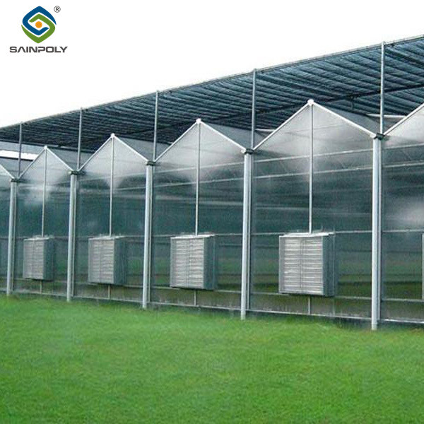 PC Sheet Venlo Greenhouse Large Energy Saving Commercial Polycarbonate Greenhouse