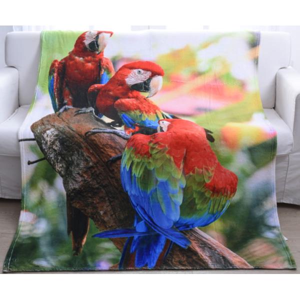 3D Photo Printing Flannel Blanket Kids Throw Blanket Non Irritating Anti - Crease