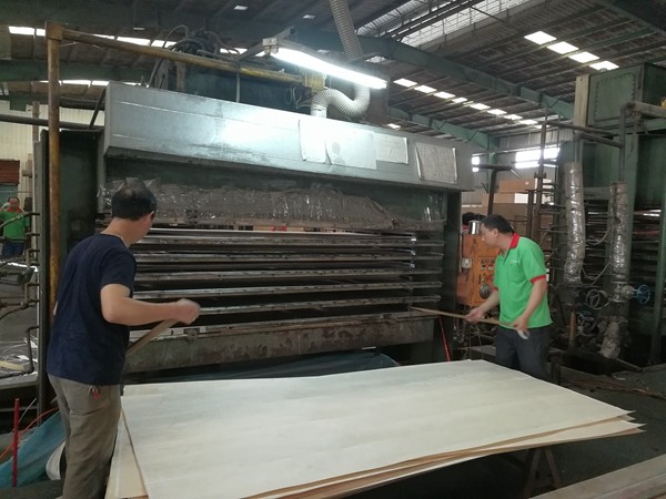 Fancy Plywood OAK Veneer Board Customized For Wardrobes Usage