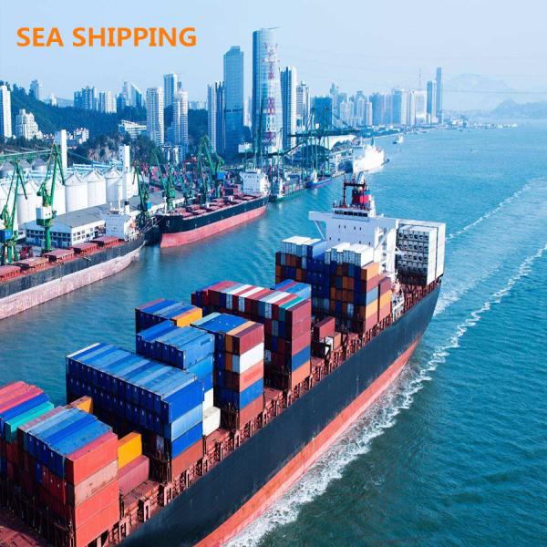 Ningbo China DDP Sea Shipping To Los Angeles USA