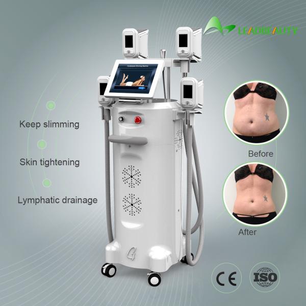 2018 Newest Cryolipo Beauty Salon Equipment / Fat Freezing Beauty Salon Equipment / Lipo Cryo