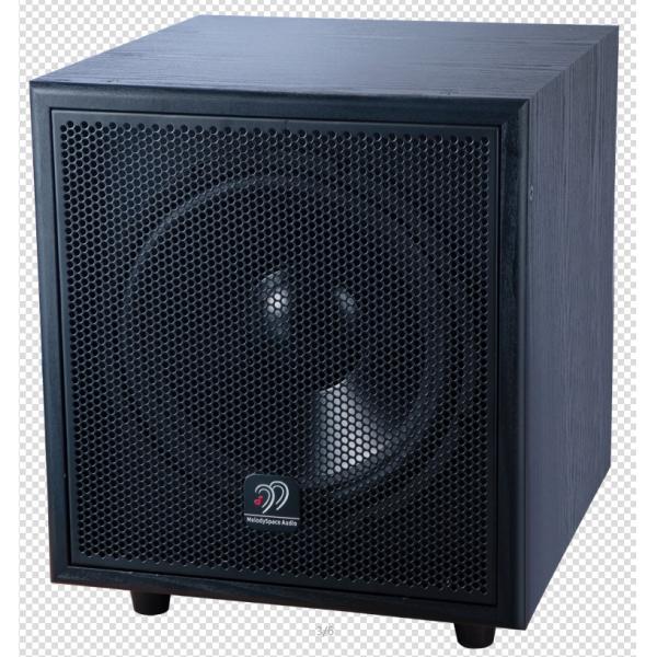 SW312  with 12 Inch Subwoofer In Black 180 W High Density Board