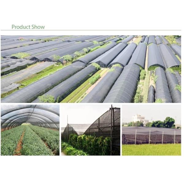 UV Treated Greenhouse Shade Net / Green Garden Net For Roofing Agriculture Cover