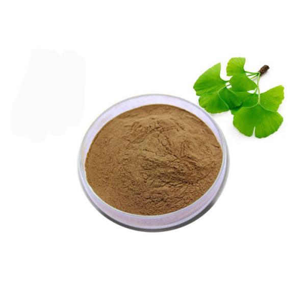USP Grade Organic Ginkgo Biloba Powder