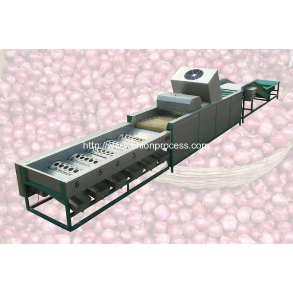 Automatic Onion Selecting Cleaning and Sorting Machine
