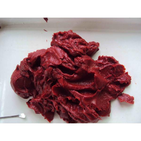 Natural High Purity Canned Tomato Paste Without Naked Eye Visible Impurity