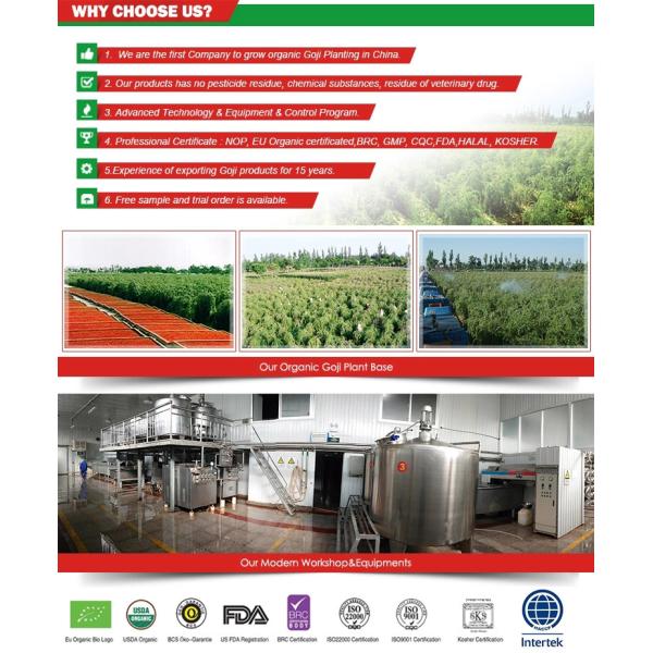 NOP EU Certified Organic Goji juice concentrate 100% goji berry juice concentrate the lycium chinese of ningxia