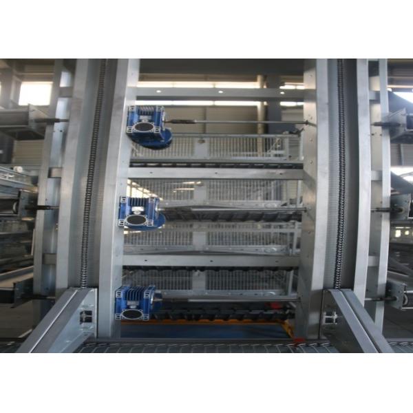 High Strength Layer Poultry Farming Equipment Cross - Opening Door Design