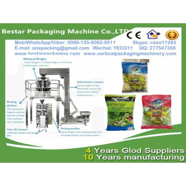 Fresh Garden Salad packing machine,all kind of vegetables, like iceberg lettuce, romain, spring onion and leek machine