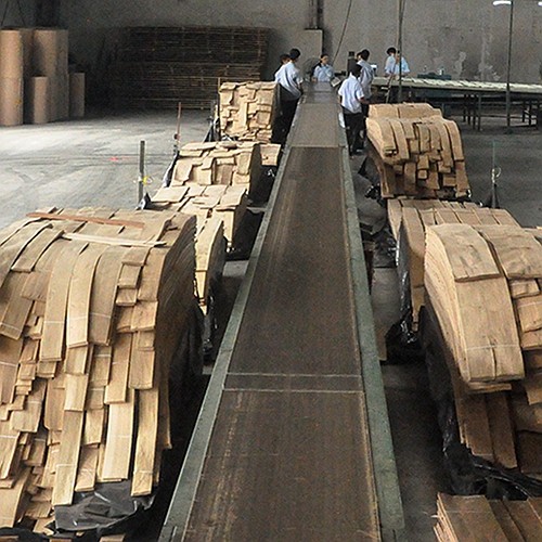 Guangdong Great Forest New Decoration Materials Co.,LTD.