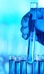 Certification for European Chemicals Agency s New SVHC Intention Substance 2025 Update