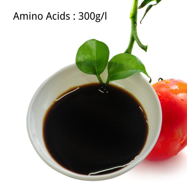 Vegetal Origin Amino Acids Liquid Fertilizer 300g/L Foliar Fertilizer For Plants