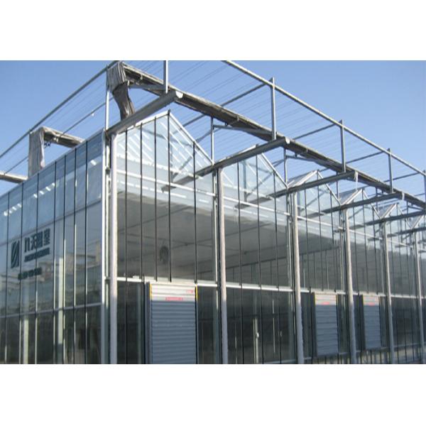 Sided Ventilated Cooling Pad Multi Span Greenhouse