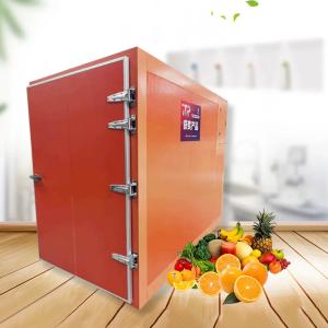 China Professional Household Food Dehydrator Food Freeze Dryer For Wholesales on sale