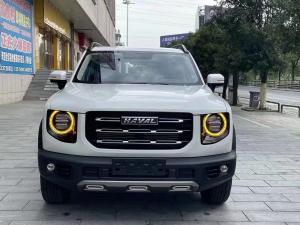  Haval Big Dog 2022 2.0T DCT 4WD Chinese Pastoral Dog Version USED SUV Manufactures