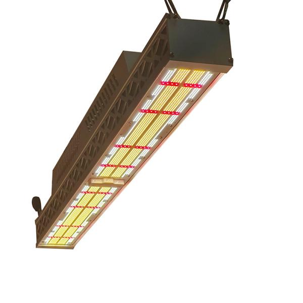 600w 2 Channels Greenhouse LED Grow Light  Greenhouse Grow Lamps 100-277VAC 50/60Hz