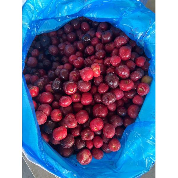 Find the Best Frozen Fruit for Your Business and Affordable Solution Sweetcherry