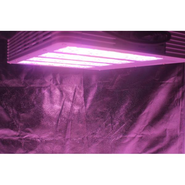 420W indoor farming grow light, greenhouse grow light, ETL, CE, Rohs certified