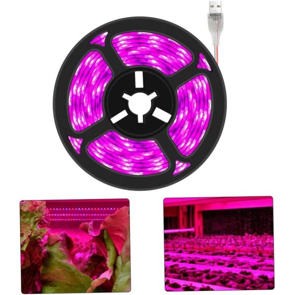 24v Grow Lights for Indoor Plants, Full Spectrum led Grow Light Plant Light for Indoor Plants with Red+Blue+Sunlike