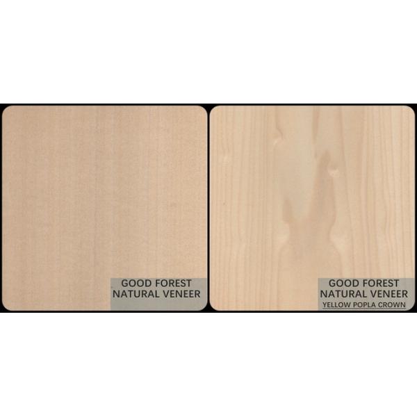 Mappa Tulip Natural Wood Veneer Boxwood Excellent Double Color