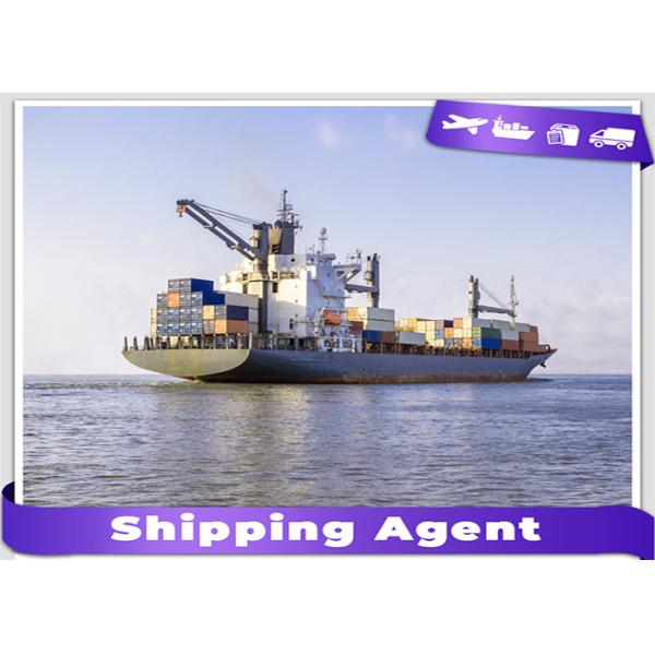 DDP Ocean Freight From China To Singapore 20GP 40GP