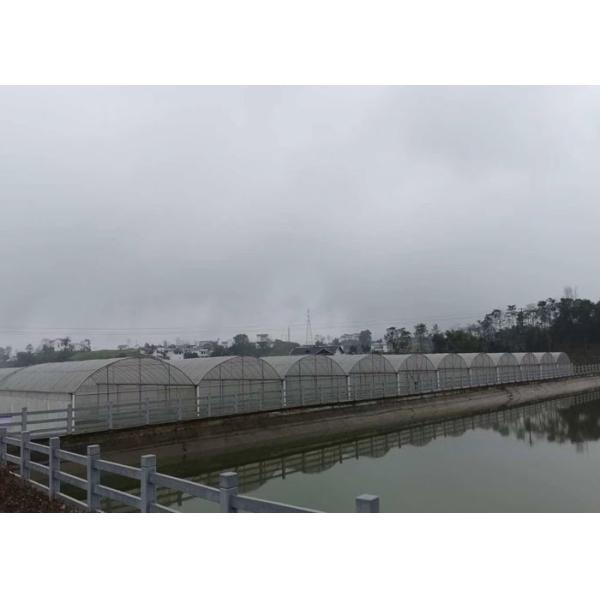 Intelligent Control Agricultural Greenhouse For Farming Vegetables Flowers