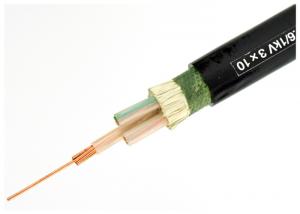  Low voltage 0.6/1kV XLPE Insulated Power cable IEC standard Two Cores Manufactures