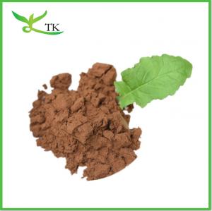  Plant Natural Ligustilide Angelica Sinensis Root Extract Powder Manufactures