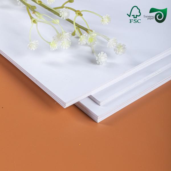 190gsm 200gsm 250gsm 300gsm High Gloss Paper Inkjet Photo Paper Rolls FSC