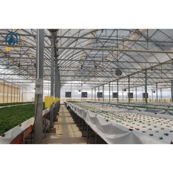 Outdoor Commercial Farming Agriculture Metal Frame Multi Span Large Plastic Greenhouse