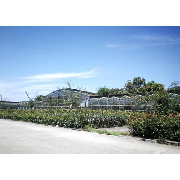 Glass Intelligent Automatic Greenhouse Customized Size Good Weather Resistance