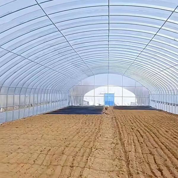 Polytunnel Plastic Tunnel Single Span Agricultural Greenhouse for Customized Request