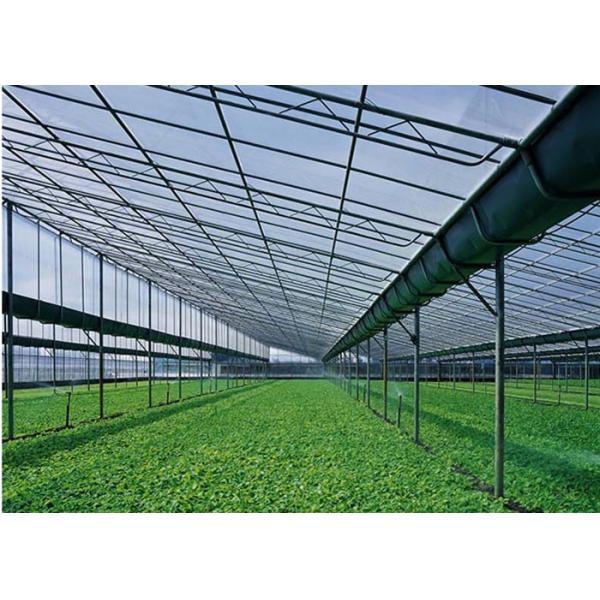 Agricultural Plastic Poly Film Greenhouse Customized Length With Lock And Wire