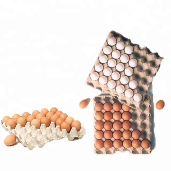 Waste Paper Making  Pulp Packaging Machine 220V  Recycling Full Automatic