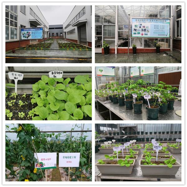 Multiply Application Amino Acid Organic Fertilizer Range From 30-80% Content